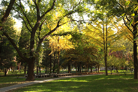 91精品国产自产在线老师啪